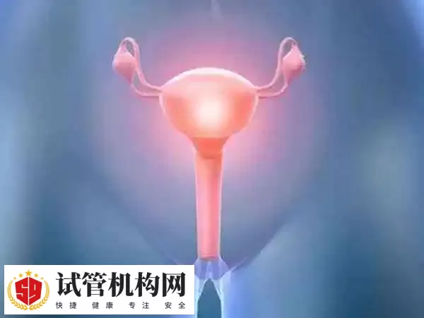 子宫弯曲做试管婴儿多少钱