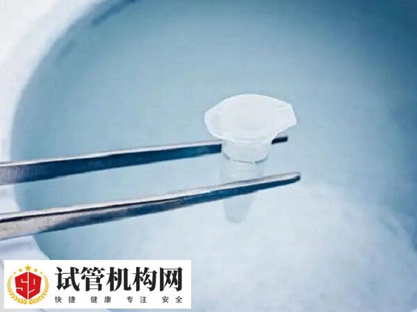 冻胚质量差会影响复苏成功率