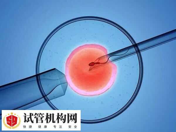 试管prp治疗移植成功几率大不大