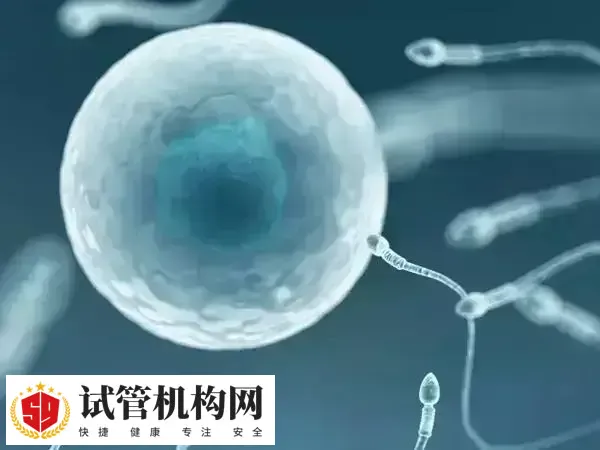 试管失败后是否需要进行ERT治疗