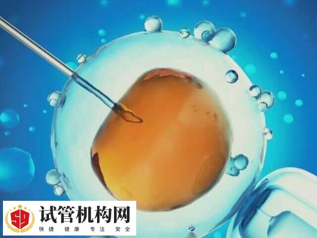 做试管月经不规律的移植方案有哪些