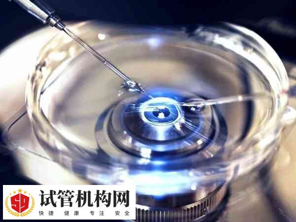 取卵后可以吃什么食物