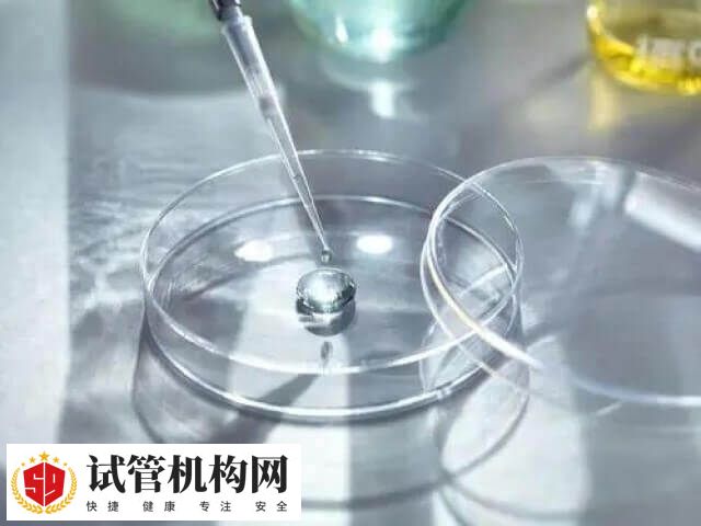 上海一妇婴一代试管成功率多高