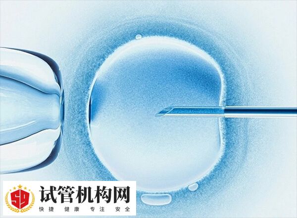 试管已生男孩的方法是什么