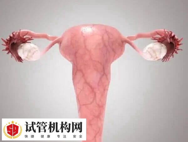 试管婴儿2个人是不是都需要挂号