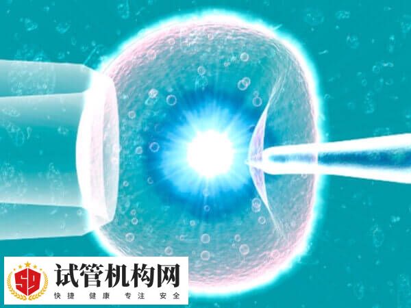 32岁做试管婴儿成功率是多少