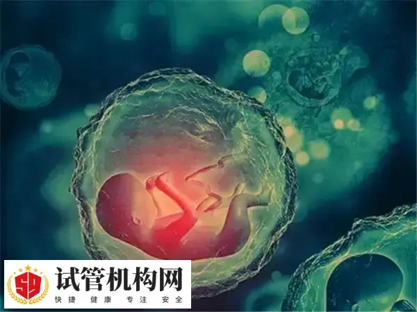 自然周期试管移植方案适用于哪些女性