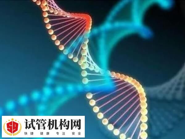 地中海贫血是常染色体隐性遗传病