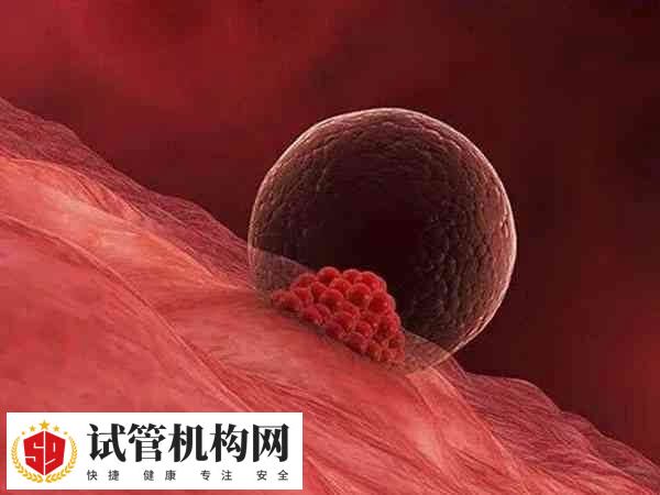 内膜3.1mm可不可以做试管婴儿