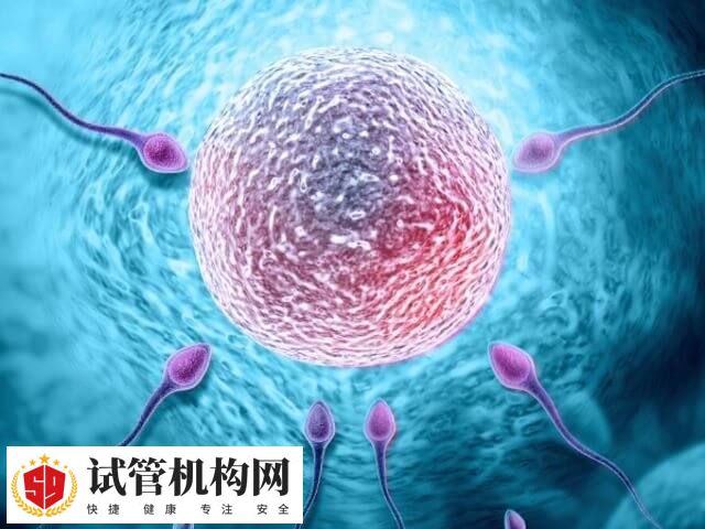 排卵推迟排卵障碍该怎么办