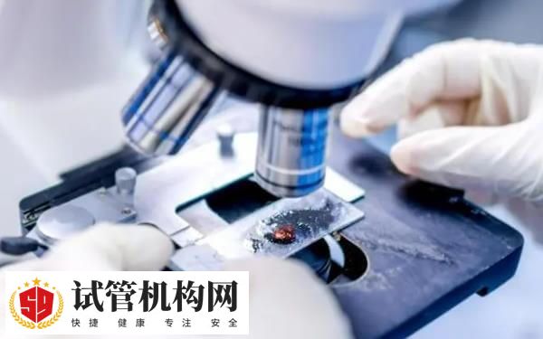 胚胎移植后为什么要躺半小时