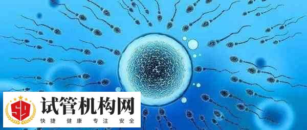 卵泡隔一天检测反而变小怎么回事