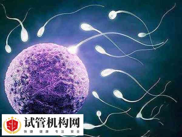 发现卵泡变小需要调整治疗方案